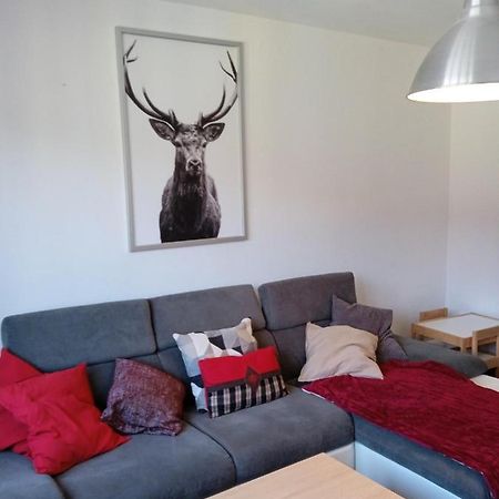 La Cahutte Du Tisseur, Hyper Centre Apartment Gerardmer Ngoại thất bức ảnh
