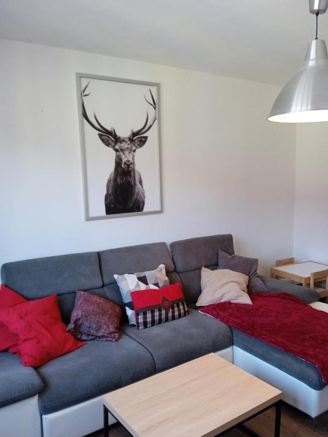 La Cahutte Du Tisseur, Hyper Centre Apartment Gerardmer Ngoại thất bức ảnh
